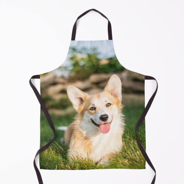 Artikelvorschau, Welsh Corgi Pembroke entworfen und verkauft von WeightPulling.