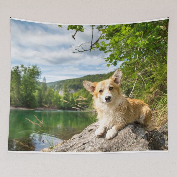 Item preview, Pembroke Welsh Corgi designed and sold by WeightPulling.