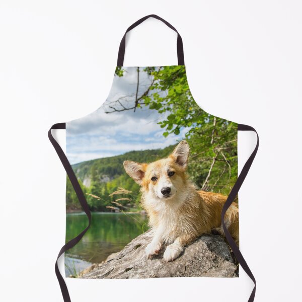 Artikelvorschau, Welsh Corgi Pembroke entworfen und verkauft von WeightPulling.