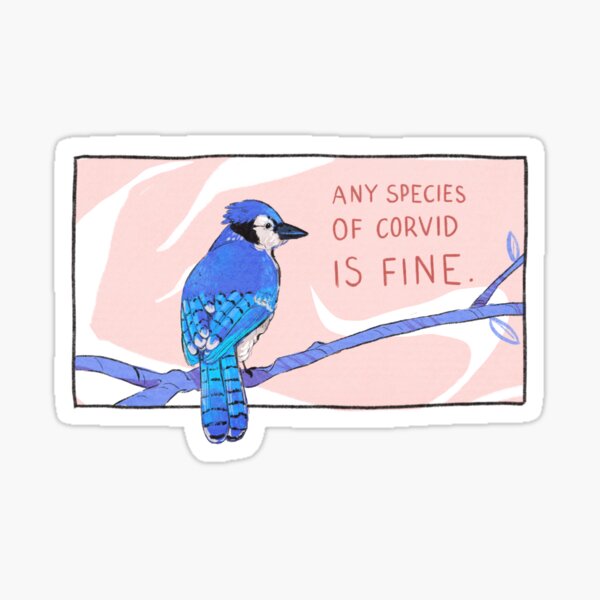 blue jay Sticker