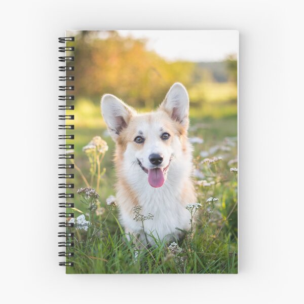 Item preview, Corgi Galés Pembroke designed and sold by WeightPulling.