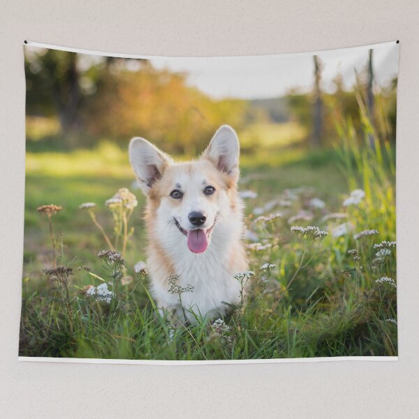 Artikelvorschau, Welsh Corgi Pembroke entworfen und verkauft von WeightPulling.