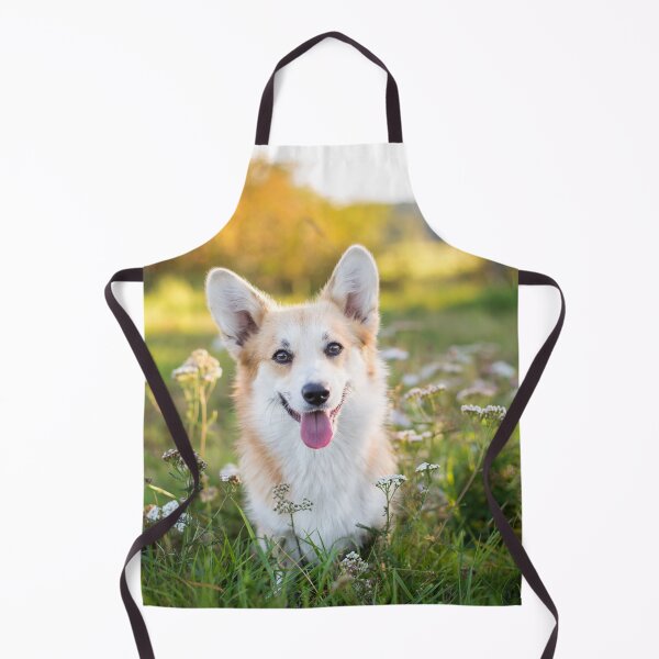 Artikelvorschau, Welsh Corgi Pembroke entworfen und verkauft von WeightPulling.