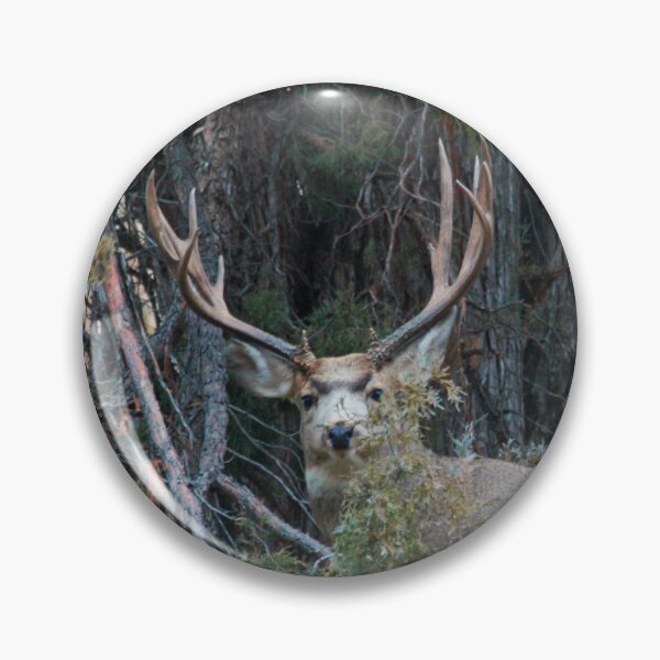Item preview, Mule deer buck  designed and sold by Saltypro.