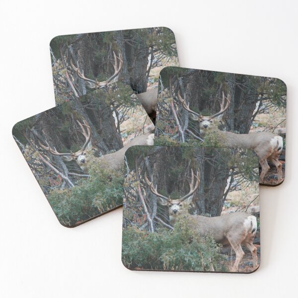 Item preview, Mule deer buck  designed and sold by Saltypro.