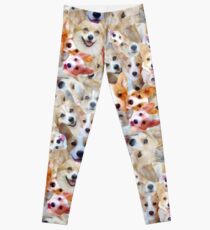 Corgi Corgis Corg Leggings