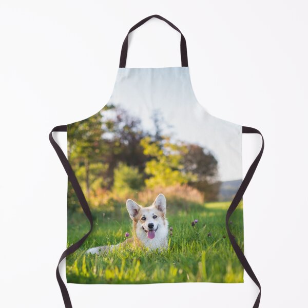 Artikelvorschau, Welsh Corgi Pembroke entworfen und verkauft von WeightPulling.