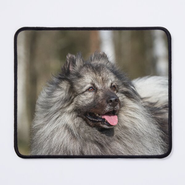 Item preview, Wolfspitz (Keeshond) designed and sold by WeightPulling.