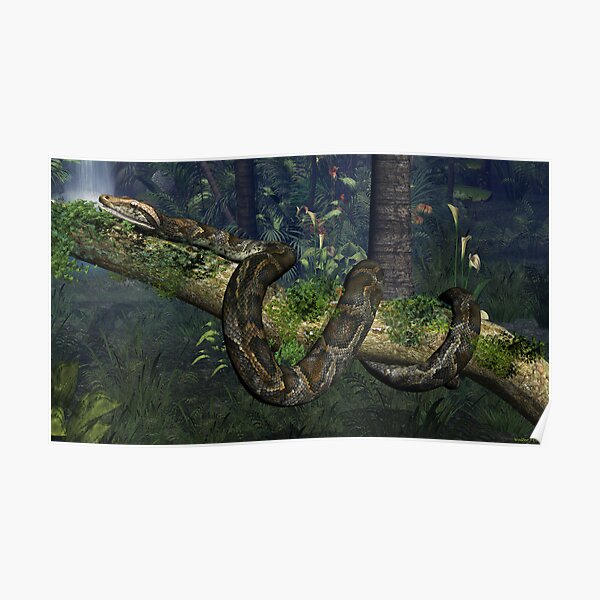 "Reticulated Python" Poster for Sale by Skyviper | Redbubble