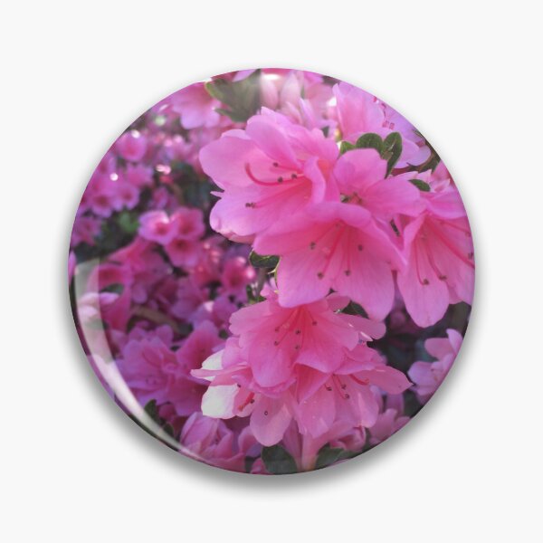 Item preview, Azaleas  designed and sold by Wolfie-Rose.