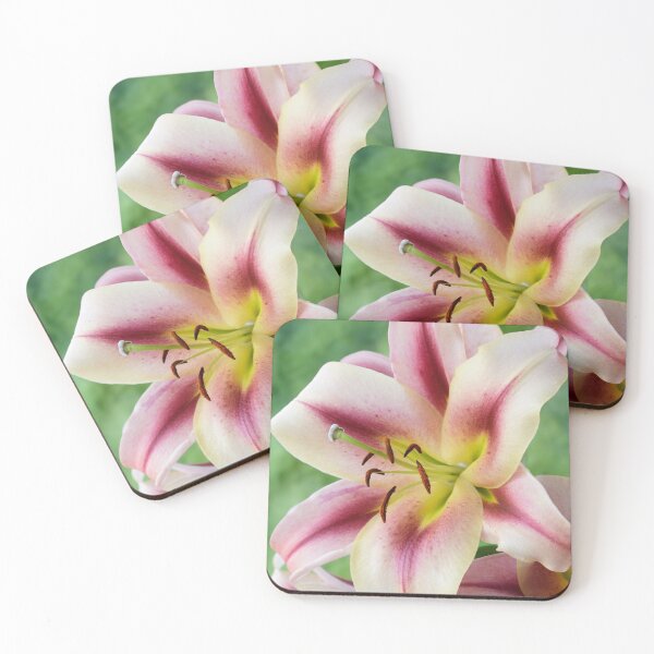 Item preview, Lilium Lily designed and sold by Chris Burrows.