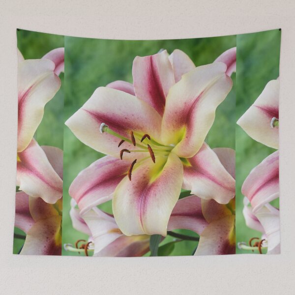 Item preview, Lilium Lily designed and sold by Chris Burrows.