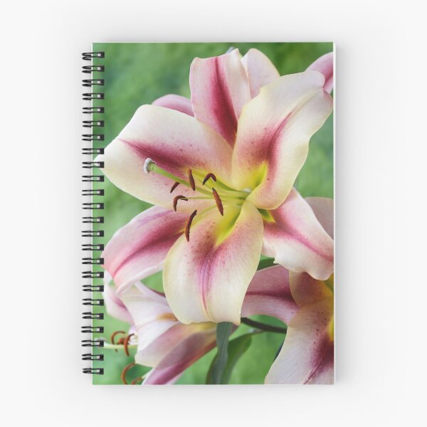 Item preview, Lilium Lily designed and sold by Chris Burrows.