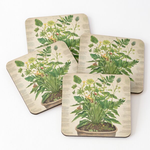 Item preview, Botanical Drawing 3 designed and sold by FeatheredWolf.