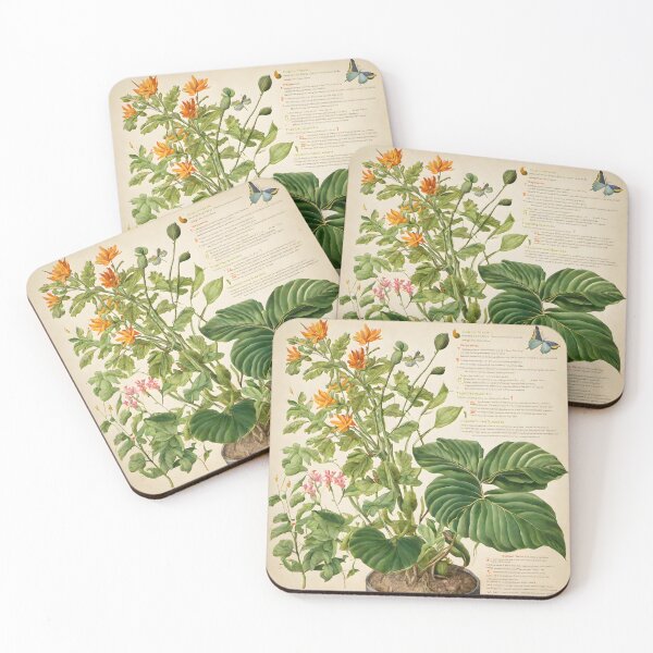 Item preview, Botanical Drawing 5 designed and sold by FeatheredWolf.