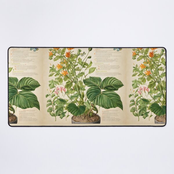 Item preview, Botanical Drawing 5 designed and sold by FeatheredWolf.