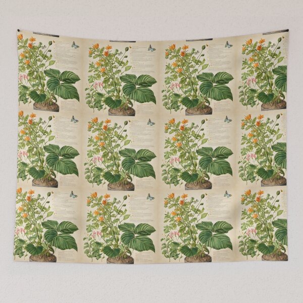Item preview, Botanical Drawing 5 designed and sold by FeatheredWolf.