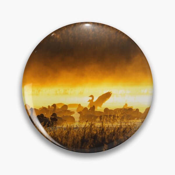 Item preview, Snow Geese at Sunrise designed and sold by CESW Photography.