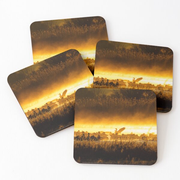 Item preview, Snow Geese at Sunrise designed and sold by CESW Photography.