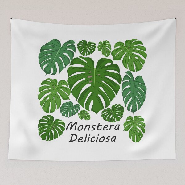Item preview, Monstera Deliciosa - Planta designed and sold by HideyukiLIFE.