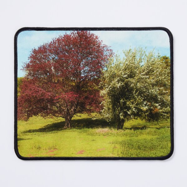 Item preview, Changing colours designed and sold by Christine Lake.