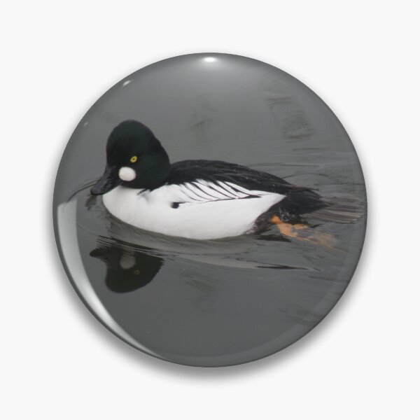 Item preview, Common Goldeneye Duck Reflection on Water Photograph designed and sold by naturegallery.
