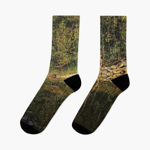 Item preview, Trees Reflected In Glassy Water Photograph  designed and sold by TwistedP-Photos.