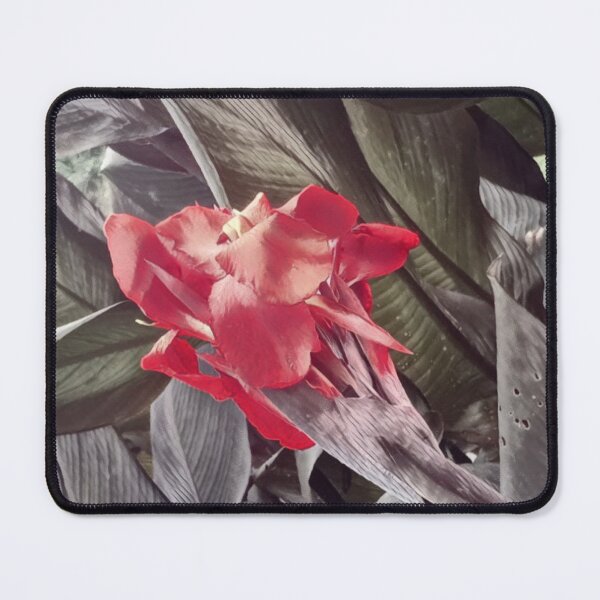 Item preview, Tropical flower designed and sold by foxxya.