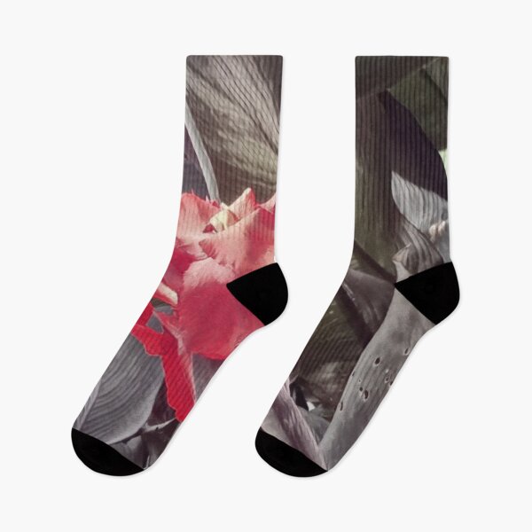 Item preview, Tropical flower designed and sold by foxxya.