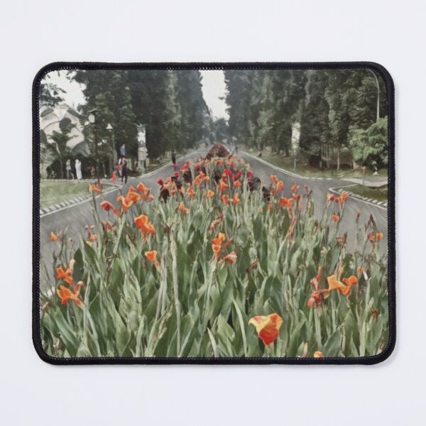 Item preview, Street flower at Bogor park designed and sold by foxxya.
