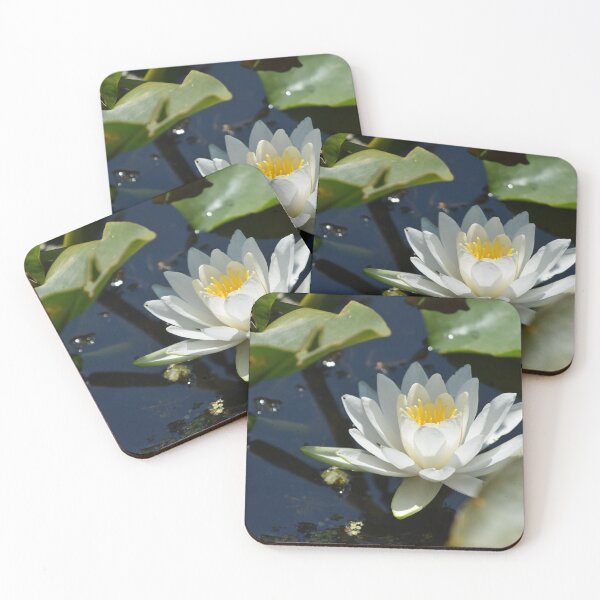 Item preview, Water Lily Photograph designed and sold by ItemCrafter.