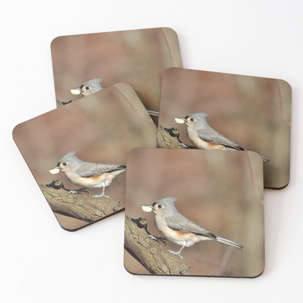 Item preview, Tufted Titmouse With Nut designed and sold by Deb Oppermann.