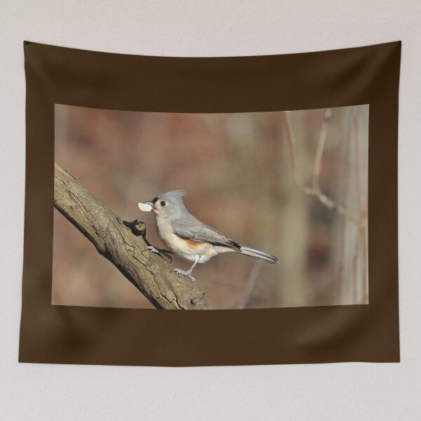 Item preview, Tufted Titmouse With Nut designed and sold by Deb Oppermann.