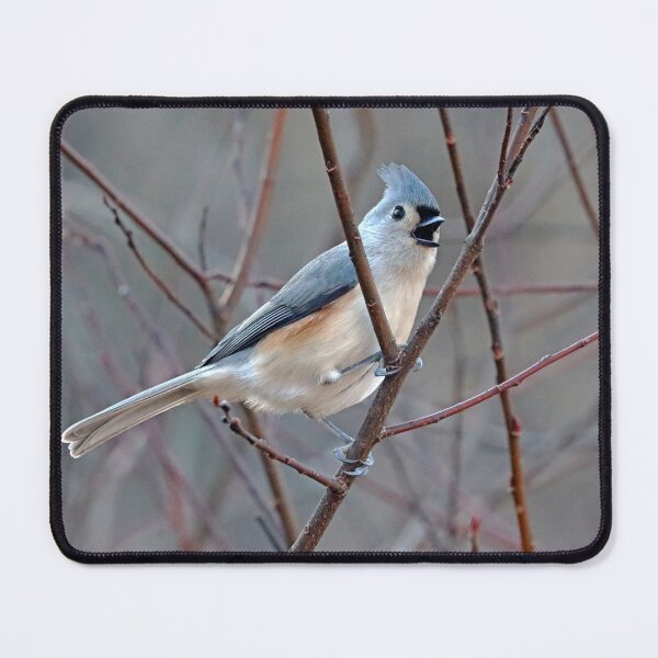 Item preview, Singing Titmouse designed and sold by Deb Oppermann.