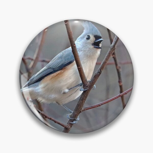 Item preview, Singing Titmouse designed and sold by Deb Oppermann.