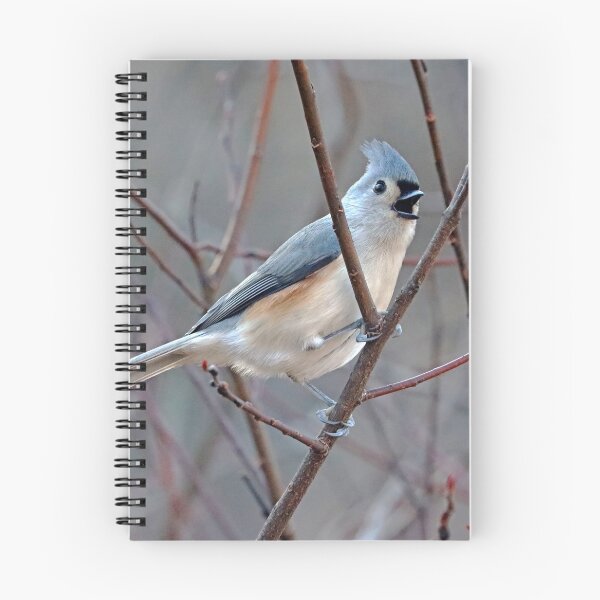 Item preview, Singing Titmouse designed and sold by Deb Oppermann.