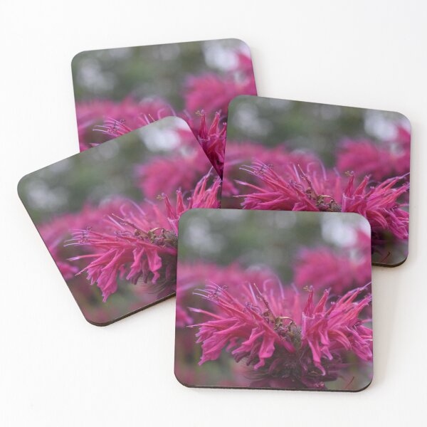 Item preview, Bee Balm Flower Photograph designed and sold by ItemCrafter.