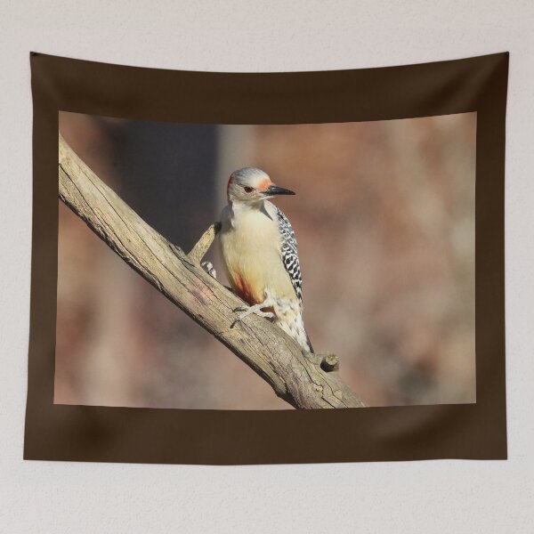 Item preview, Red Bellied Woodpecker In Winter designed and sold by Deb Oppermann.