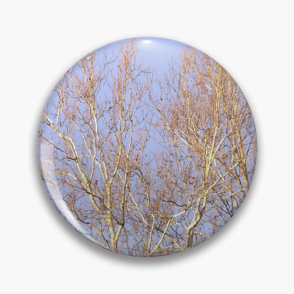Item preview, Sycamore Tree at Sunset designed and sold by gistinker.