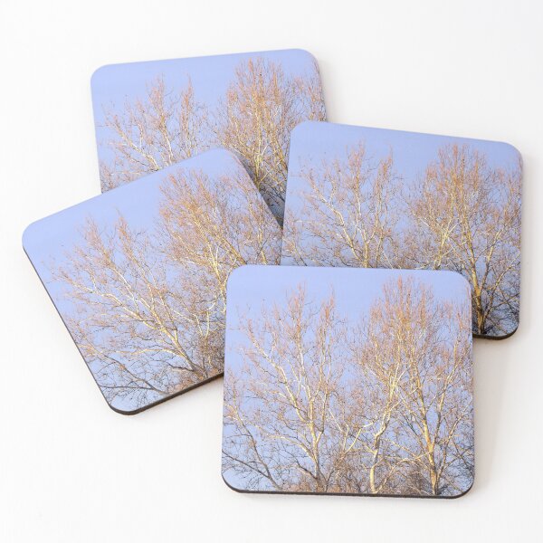 Item preview, Sycamore Tree at Sunset designed and sold by gistinker.