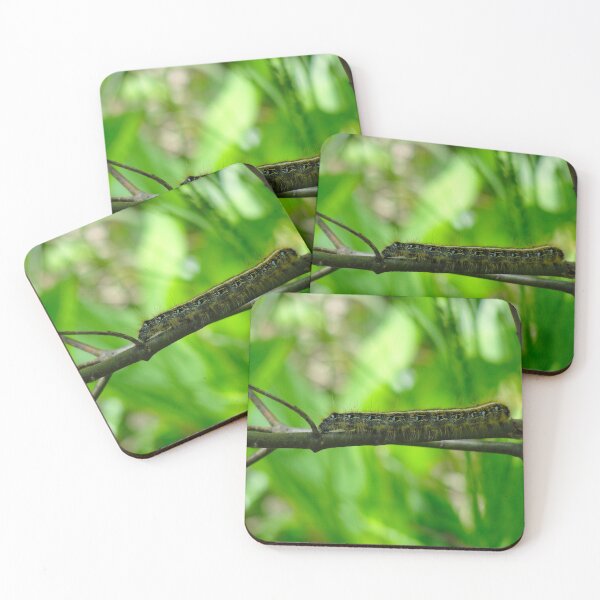 Item preview, Eastern Tent Caterpillar Scaling A Tree  designed and sold by BuddingTree.