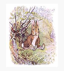 Benjamin Bunny, Beatrix Potter, Photographic Print