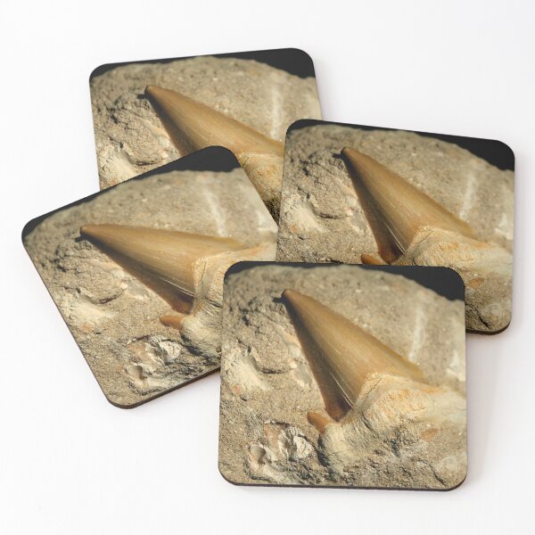 Item preview, Shark tooth fossil designed and sold by AnthonyThomas.
