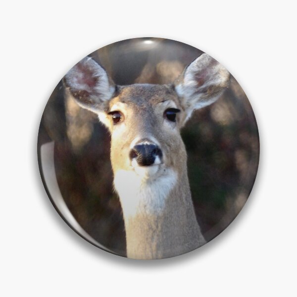 Item preview, Curious White tail Deer designed and sold by gistinker.