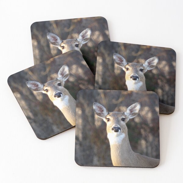 Item preview, Curious White tail Deer designed and sold by gistinker.