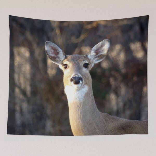 Item preview, Curious White tail Deer designed and sold by gistinker.