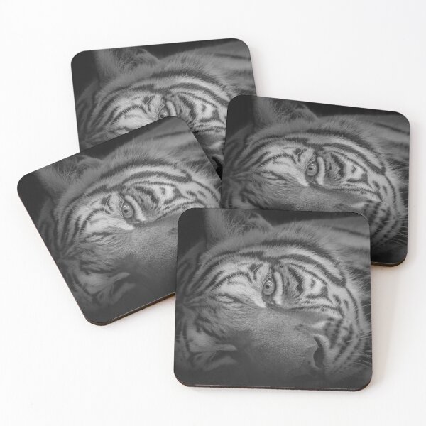Item preview, Whispering Stripes: A Tiger's Repose designed and sold by Adrian del Rio Montoro.