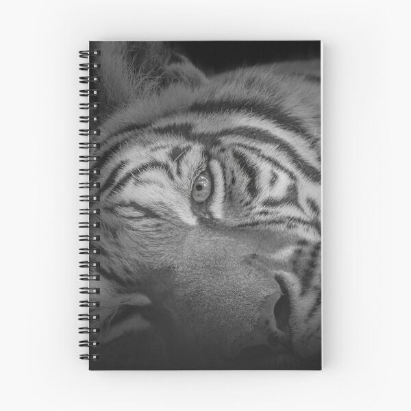 Artikelvorschau, Whispering Stripes: Die Ruhe eines Tigers entworfen und verkauft von Adrian del Rio Montoro.