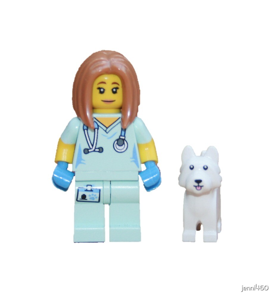 veterinarian lego