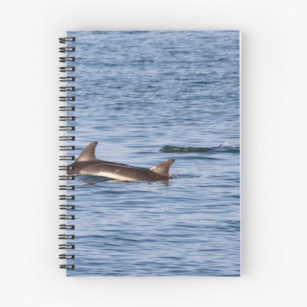 Item preview, Dolphins in Wellington Harbour designed and sold by shadowsanddust.
